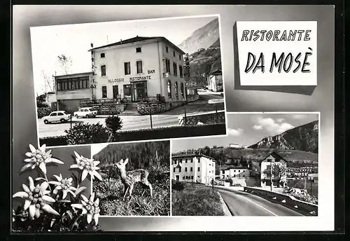 AK Sella di Fadalto, Ristorante da Mose