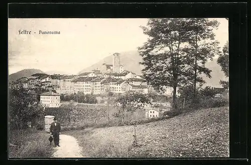 AK Feltre, Panorama