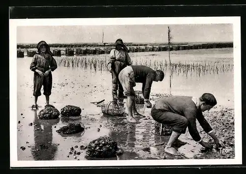 AK Arcachon, la Peche aux huitres