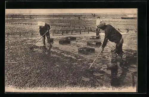 AK Arcachon, le Travail dans les Parcs aux Huitres
