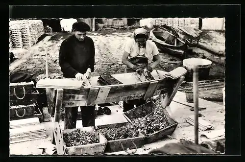 AK Arcachon, le Détroquage des Huitres