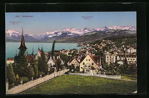 AK Wädenswil, Panorama mit Schäniserberg und Mürtschenstock