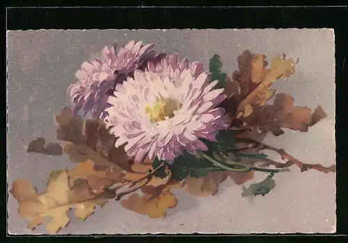Künstler-AK Catharina Klein: schöne lila blühende Blume mit Eichenblattlaub