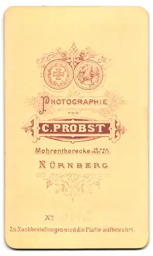 Fotografie C. Probst, Nürnberg, Mohrenthorecke, Junge Dame mit Hochsteckfrisur und schockiertem Gesichtsausdruck