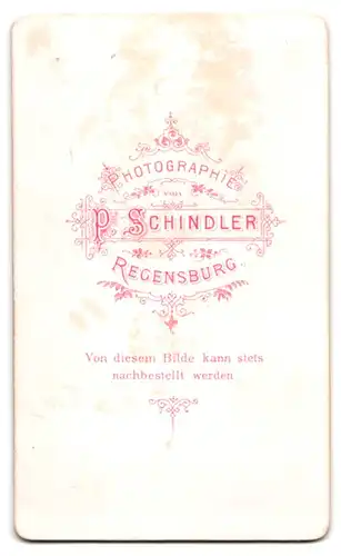 Fotografie P. Schindler, Regensburg, Junger Herr mit dünner Gesichtsbehaarung