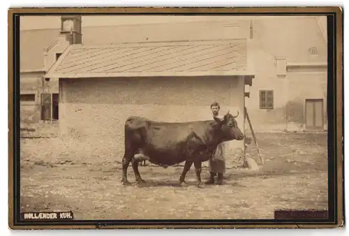 Fotografie Carl Ritt. v. Schlag, Ort unbekannt, Bauer mit seiner Holländer Kuh