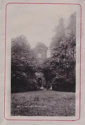 Fotoalbum mit 12 Fotografien, Ansicht Schwetzingen, Kaiser Friedr. Felsen, Schloss, Moschee, Wasserspeier, Minervatempel