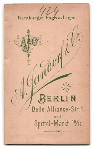 Fotografie A. Jandorf & Co, Berlin, Belle-Alliance-Str. 1, Dame im Spitzenkleid mit Brosche