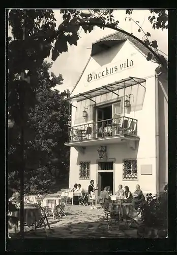 AK Piestany, Bacchus vila