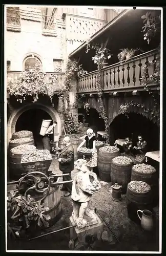 Fotografie Brück & Sohn Meissen, Ansicht Meissen i. Sa, Traubenfässer in Vincen Richter Weinkelterei, Weinpresse