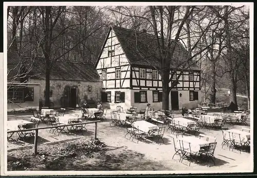 Fotografie Brück & Sohn Meissen, Ansicht Meissen i. Sa., Gartenpartie im Gasthaus Rehbockschänke