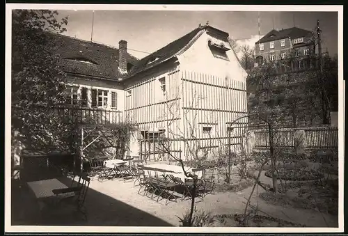 Fotografie Brück & Sohn Meissen, Ansicht Diesbar a. Elbe, Gartenansicht von Hempels Rosengarten