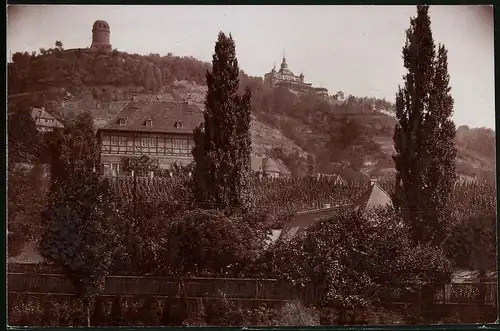 Fotografie Brück & Sohn Meissen, Ansicht Radebeul-Oberlössnitz, Schloss Hoflössnitz mit Spitzhaus und Bismarckturm