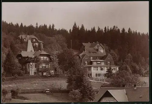 Fotografie Brück & Sohn Meissen, Ansicht Bärenfels i. Erzg., Blick auf die Villen im Ort