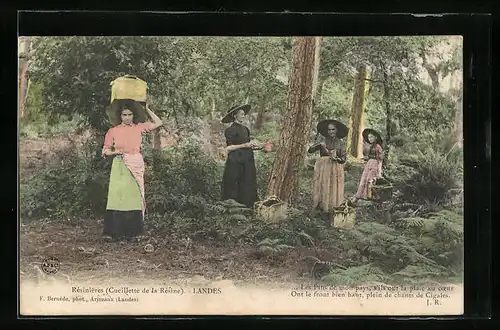 AK Landes, Résinières, Frauen gewinnen Harz im Wald, Forstwirtschaft