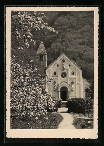 AK Merano, San Valentino