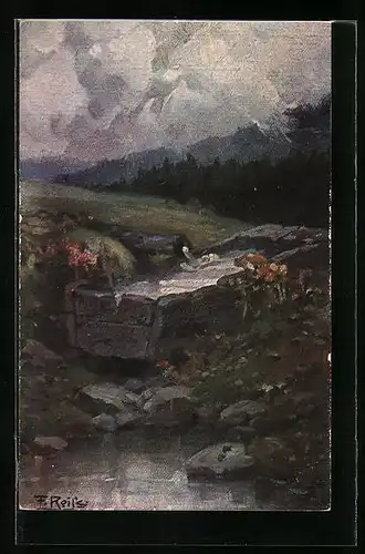 Künstler-AK Fritz Reiss: Schwarzwald-Quellen, Brunnen