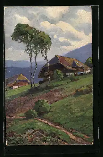 Künstler-AK Fritz Reiss: Sommer im Schwarzwald - Zwei Häuser
