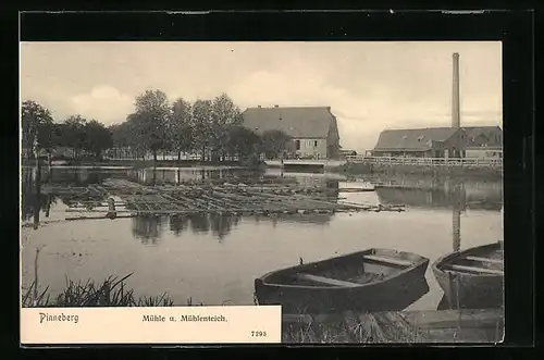 AK Pinneberg, Mühle und Mühlenteich