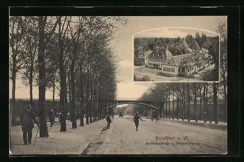AK Frankfurt a. M., Forsthausstrasse mit Oberforsthaus