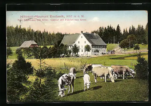 AK Escheck, Gasthof und Pension zum Kreuz