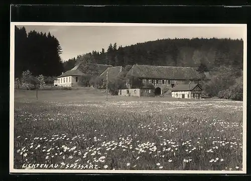 AK Lichtenau i. Spessart, Ortsansicht mit Blumenwiese