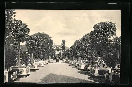 AK Weimar, Orangerie Belvedère