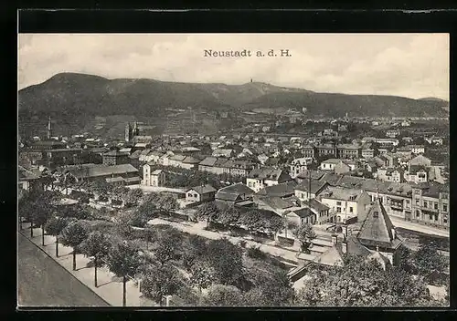 AK Neustadt a. d. H., Ortsansicht aus der Vogelschau