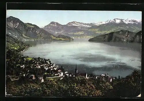AK Weggis, Panoramablick auf Ort und Vierwaldstättersee