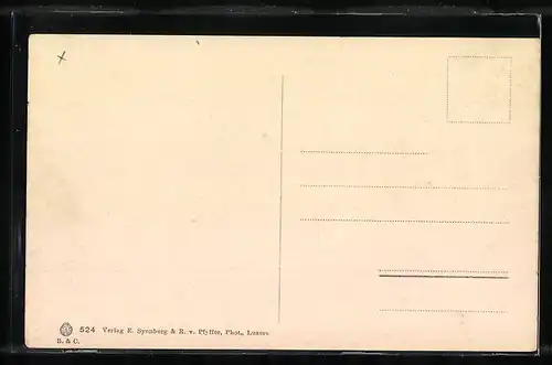 AK Luzern, Teilansicht mit Dampfer