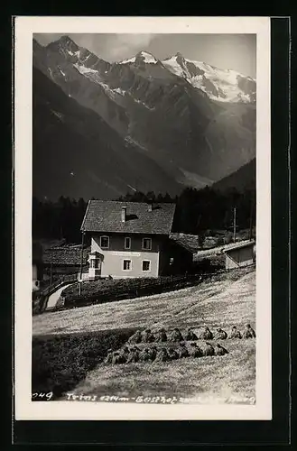 AK Trins, Gasthof zur hohen Burg