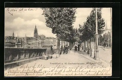 AK Frankfurt-Sachsenhausen, Promenade mit Totalansicht des anderen Mainufers