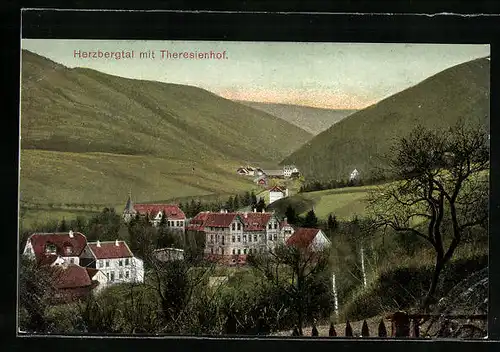 AK Goslar, Herzbergtal mit Hotel Theresienhof