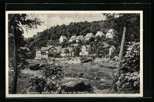 AK Altenbrak i. Bodetal, Blick auf die Bergstrasse