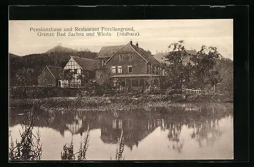 AK Walkenried, Gasthof und Restaurant Forellengrund