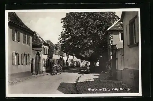 AK Edesheim /Pfalz, Partie in der Luitpoldstrasse