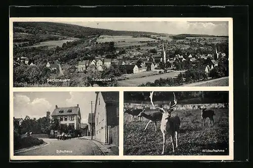 AK Seckmauern, Ortsansicht mit Kirche, Schulhaus mit Schülern, Wildaufnahme
