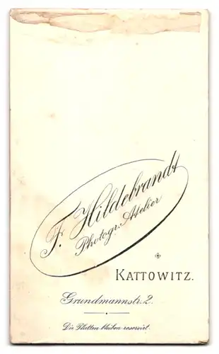 Fotografie F. Hildebrandt, Kattowitz, Grundmannstrasse 2, Junge Dame im Kleid mit Kragenbrosche