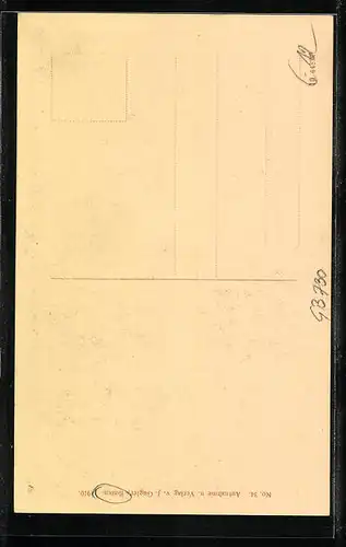 AK Bozen, Motiv aus der Laubengasse