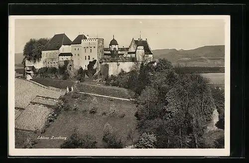 AK Lenzburg, Blick auf Schloss Lenzburg