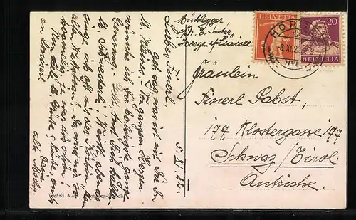 AK Horgen, Ortsansicht mit der Halbinsel Au