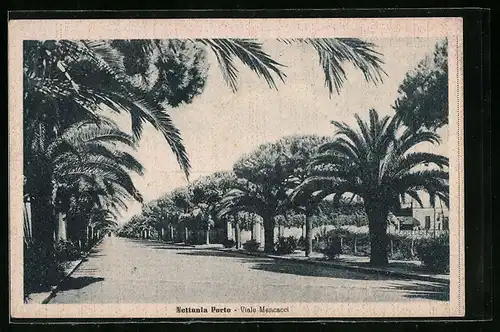 AK Nettunia Porto, Viale Mencacci