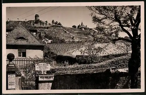 Fotografie Brück & Sohn Meissen, Ansicht Radebeul, Blick vom Haus des Tischlermeister Albert Mende auf das Spitzhaus