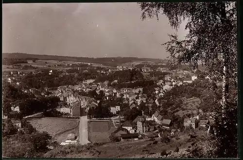 Fotografie Brück & Sohn Meissen, Ansicht Sebnitz i. Sa., Blick auf die Stadt vom Berg aus