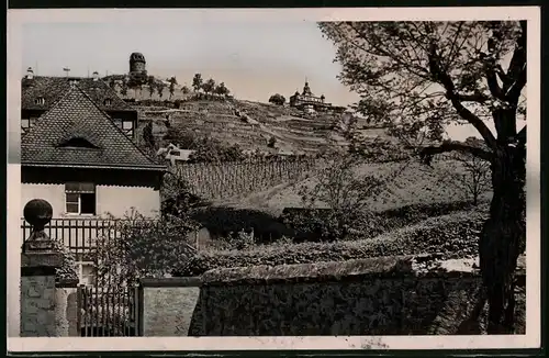 Fotografie Brück & Sohn Meissen, Ansicht Radebeul, Blick nach dem Spitzhaus