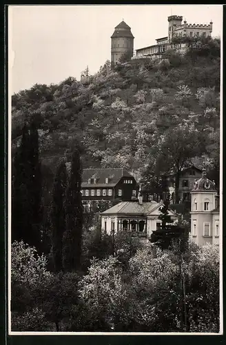 Fotografie Brück & Sohn Meissen, Ansicht Kötzschenbroda, Ortspartie mit Blick zur Friedensburg