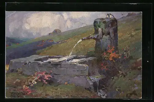 Künstler-AK Fritz Reiss: Quelle im Schwarzwald, Abendstimmung