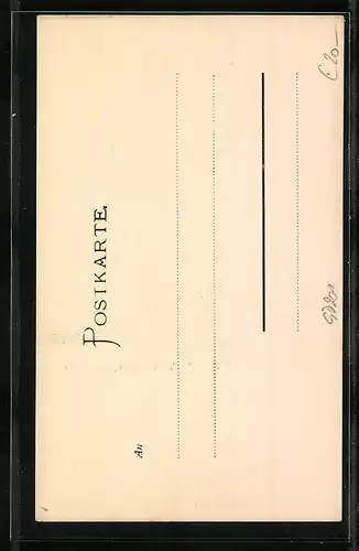 AK Meran, Blick in die Habsburgerstrasse