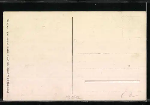 AK Meran, Schloss Tirol mit Ortlergruppe und Zielspitze