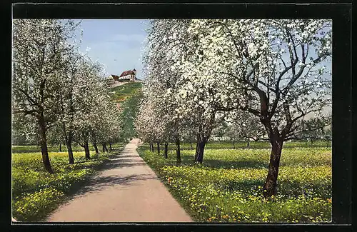 AK Staufen, Weg zum Staufberg im Seetal